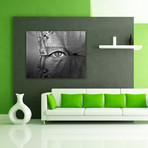 Private Eye (30"L x 40"H)