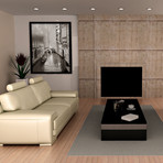 Splashdown In Venice (11"L x 14"H)