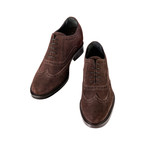 Siena Suede // Dark Brown (US: 7)