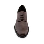 Pisa // Brown (US: 7)