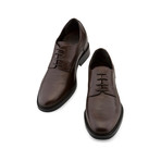 Pisa // Brown (US: 7)