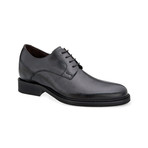 Pisa // Black (US: 7)