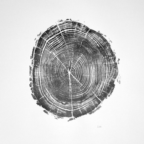 Black Locust Tree Branch - Linton Art - Touch of Modern