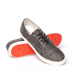 352g Snake Print Canvas Low-Tops (Euro: 41)