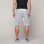 The Haru Shorts // Grey (M)