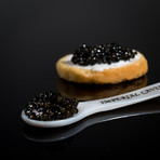 Imperial Caviar 3 Pack Gift Set // Oscietra, White Sturgeon, Venetian