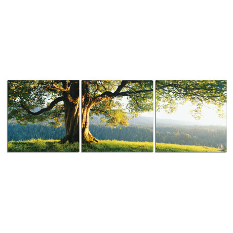 A Day In The Field Triptych