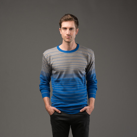 Crew Neck Sweater // Blue Stripe (S)