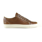 Bisonte Low Top // Café Claro (US: 8)