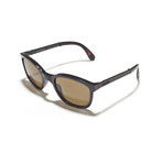 Tonga Sunglasses // Shiny Tortoise