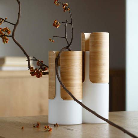 Transit Vase (Tall)