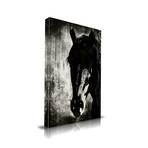 Beauty (16"L x 20"W)