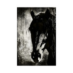 Beauty (16"L x 20"W)