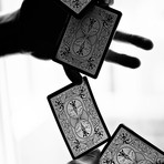 2-Deck Set // Shadow Masters & Black Tiger Playing Cards