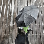 Brolly Umbrella (Black)