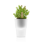 Self-Watering Herb Pot (Frosted Glass)
