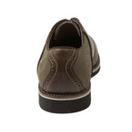 Burlington Oxford // Brown (US: 7)