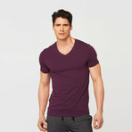 Neighborhood V-Neck // Purple (2XL)
