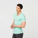 Neighborhood V-Neck // Mint (S)