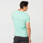 Neighborhood V-Neck // Mint (S)