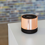 WOOFit LTD // Rose Gold