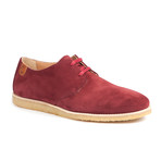 Paddy Lo Derby // Signal Suede (Euro: 44)