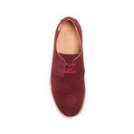 Paddy Lo Derby // Signal Suede (Euro: 44)