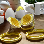 Kitchen Goose // The Golden Goose