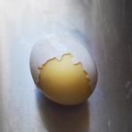 Kitchen Goose // The Golden Goose