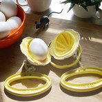 Kitchen Goose // The Golden Goose