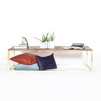 Walnut Railcar // Coffee Table