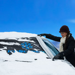 Magnetic Iceshield // Pickup Plus