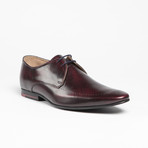 Regent II Derby // Burgundy (UK: 7)