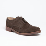 Aldwych Suede Wingtip Brogue // Dark Brown (UK: 8)