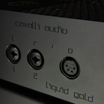 Liquid Gold Balanced SS Amplifier // 115V