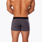 Boxer Brief 3 Inch Leg // Graphite (Small (30"-32"))