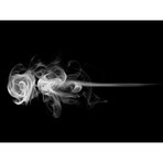 Rose Smoke // Sanni Litmanen