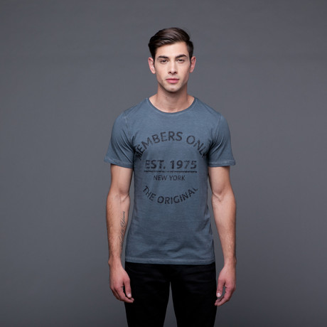 Established Logo Tee // Grey (XL)