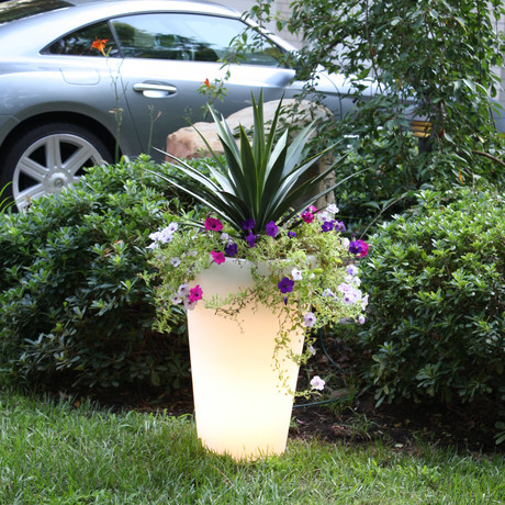 Illuminated Planter Clear // 0770