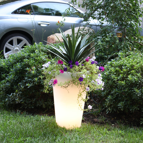 Illuminated Planter Clear // 0750