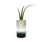 Concrete Vase // Black and White