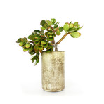 Concrete Vase // Natural