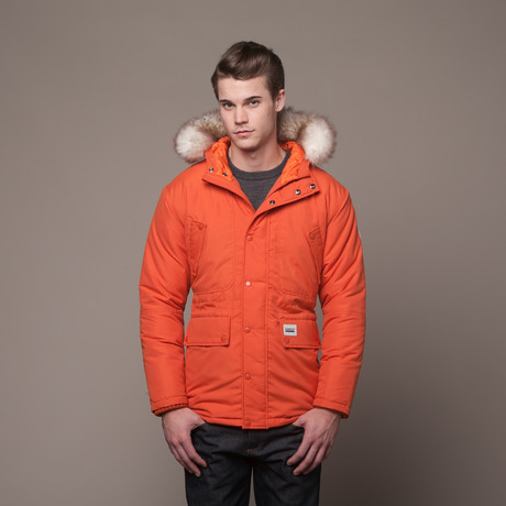 Tetra Parka // Orange (M)