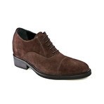 Castro // Brown Suede (US: 7)