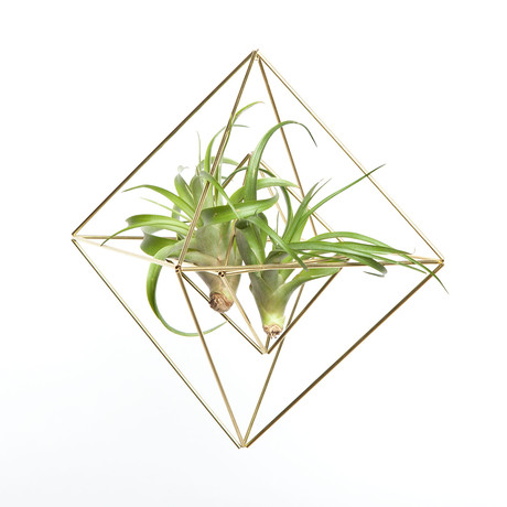 Handmade Sam*Made - Geometric Hanging Planters - Touch of Modern