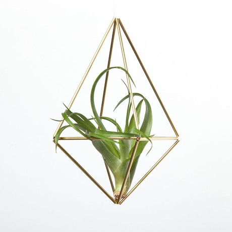 Handmade Sam*Made - Geometric Hanging Planters - Touch of Modern