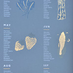 Seasonal Fruit + Vegetable Poster // Limited Edition