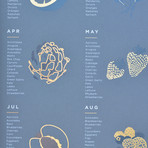 Seasonal Fruit + Vegetable Poster // Limited Edition