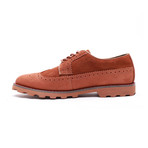 Longwing Suede + Nubuck Derby (US: 8.5)