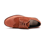 Longwing Suede + Nubuck Derby (US: 8.5)